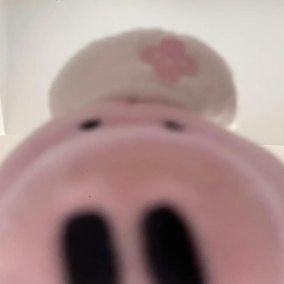 吃吃吃吃小猪了
