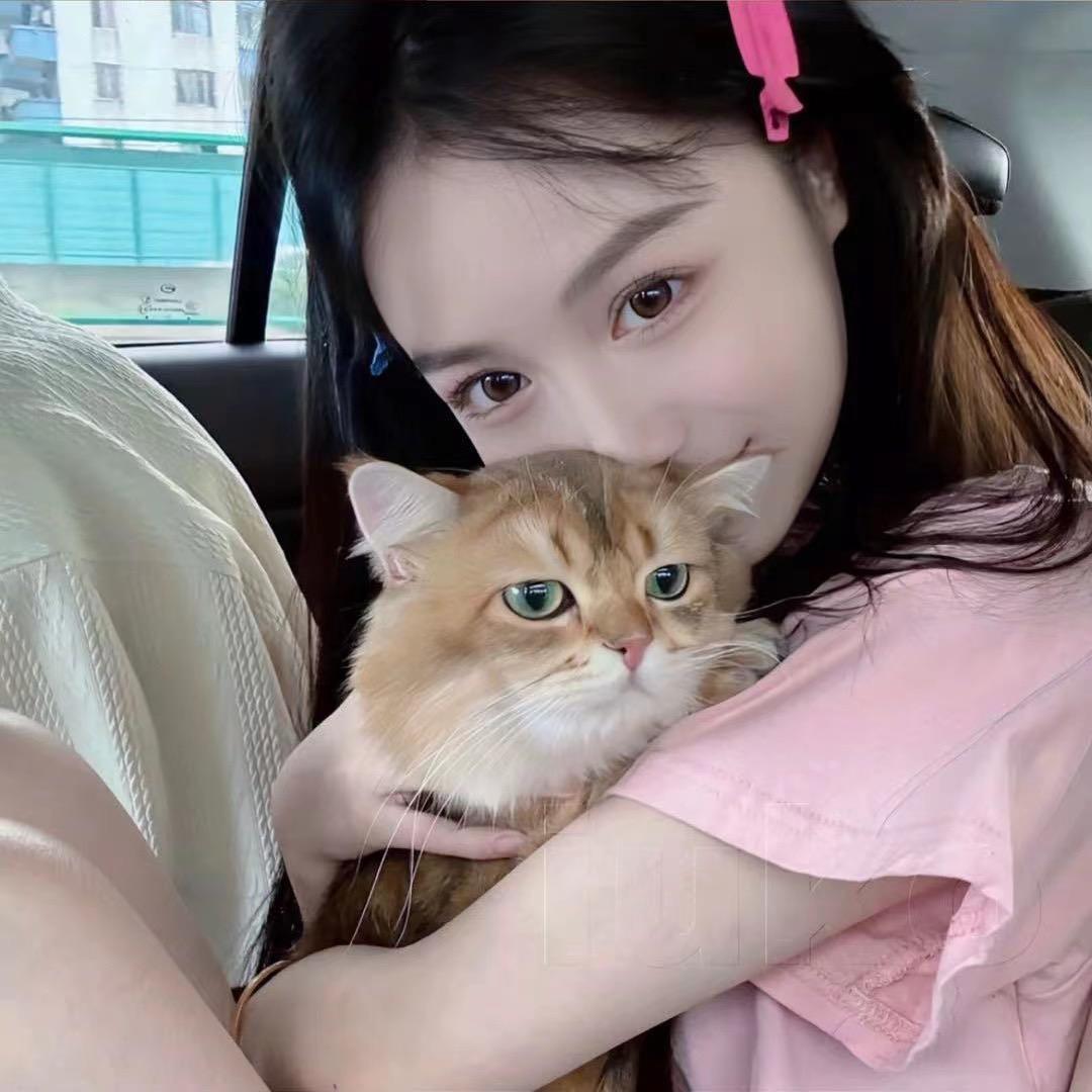 大灰狼女装批发