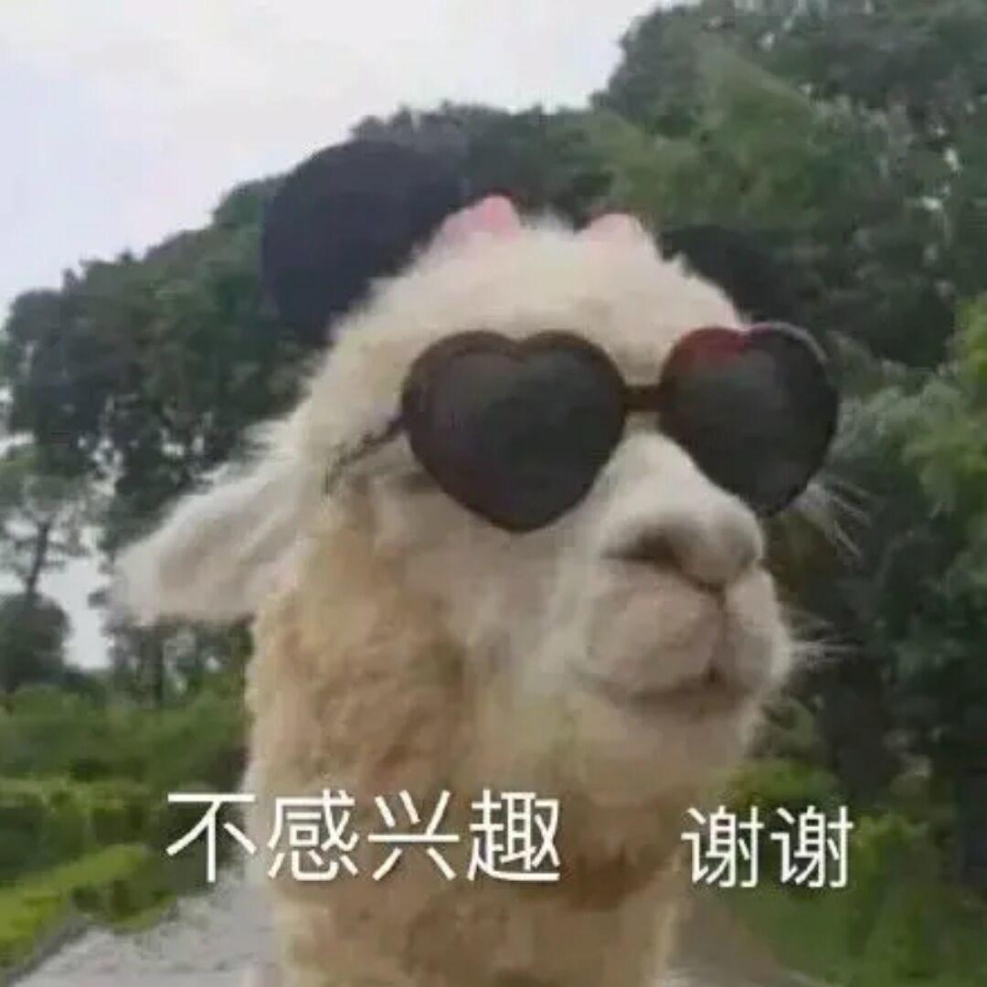 O泡果奶