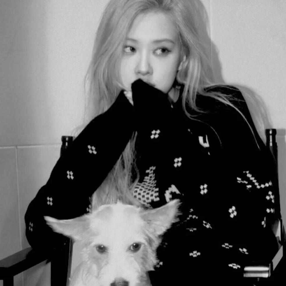 ᅟᅠ    ᅟᅠ    ᅟᅠ    ᅟᅠ