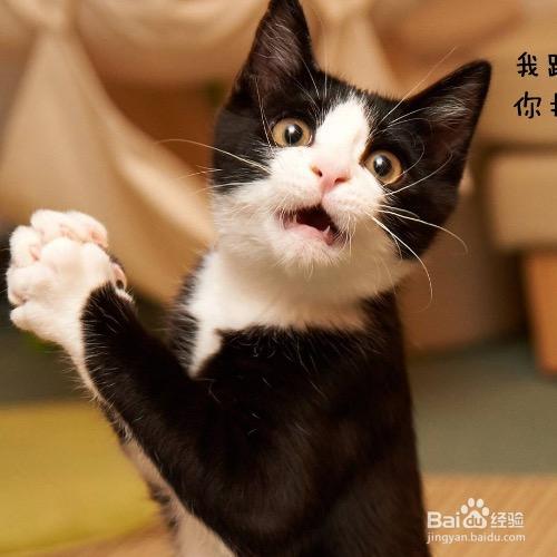 行风
