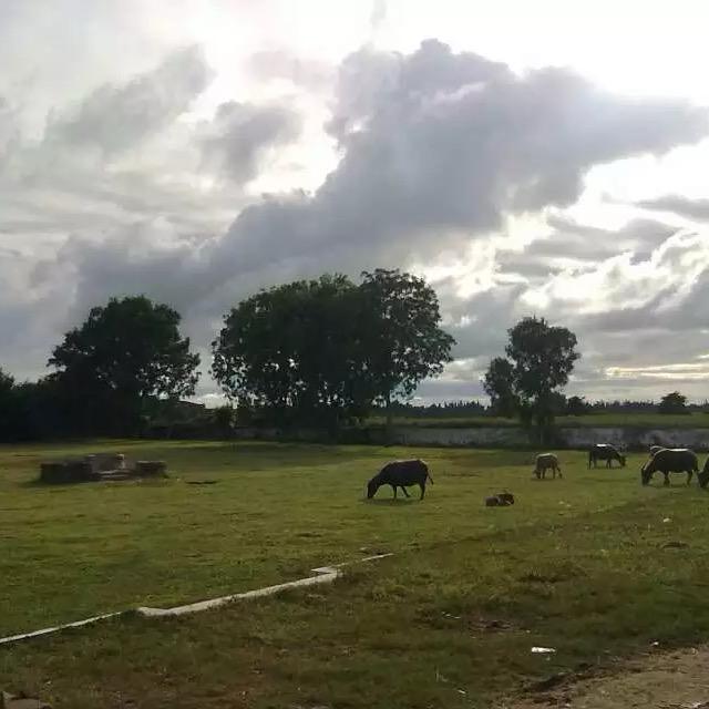 李记烧烤,海一方店