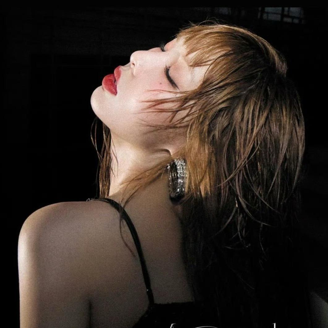 哪个灾舅子偷了我的狗