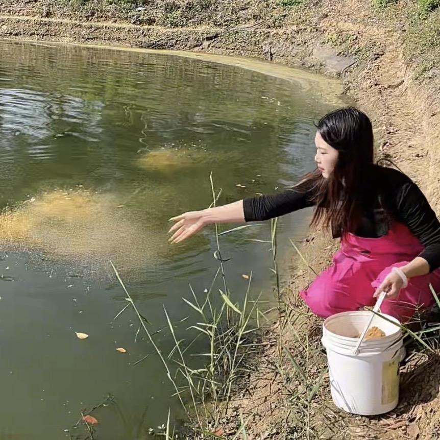 镇江润叶水产养殖