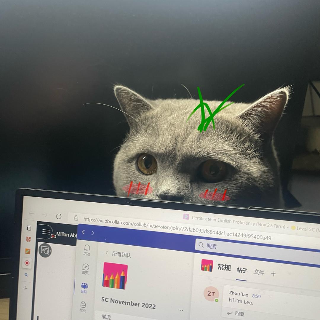 🌈言西早…