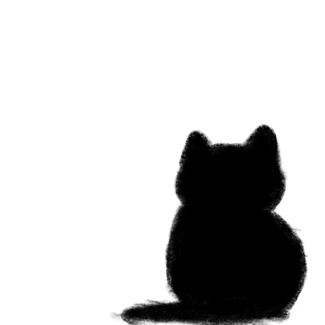 球宝47
