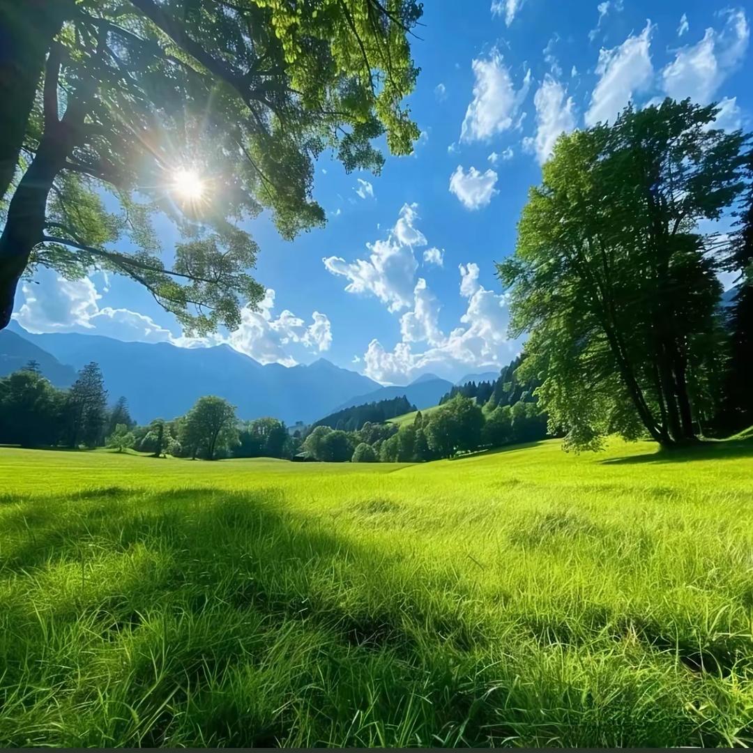 山水
