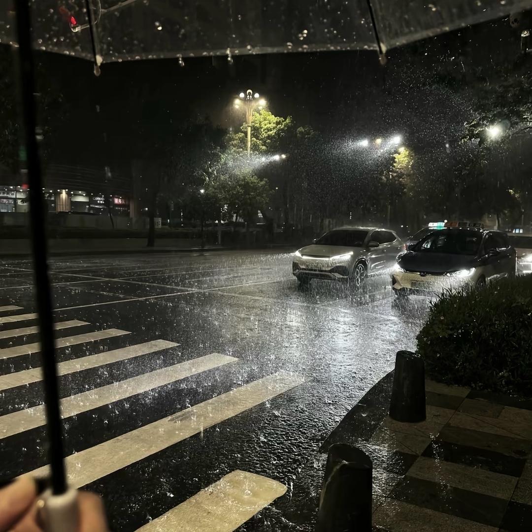 上海下雪就忘记她