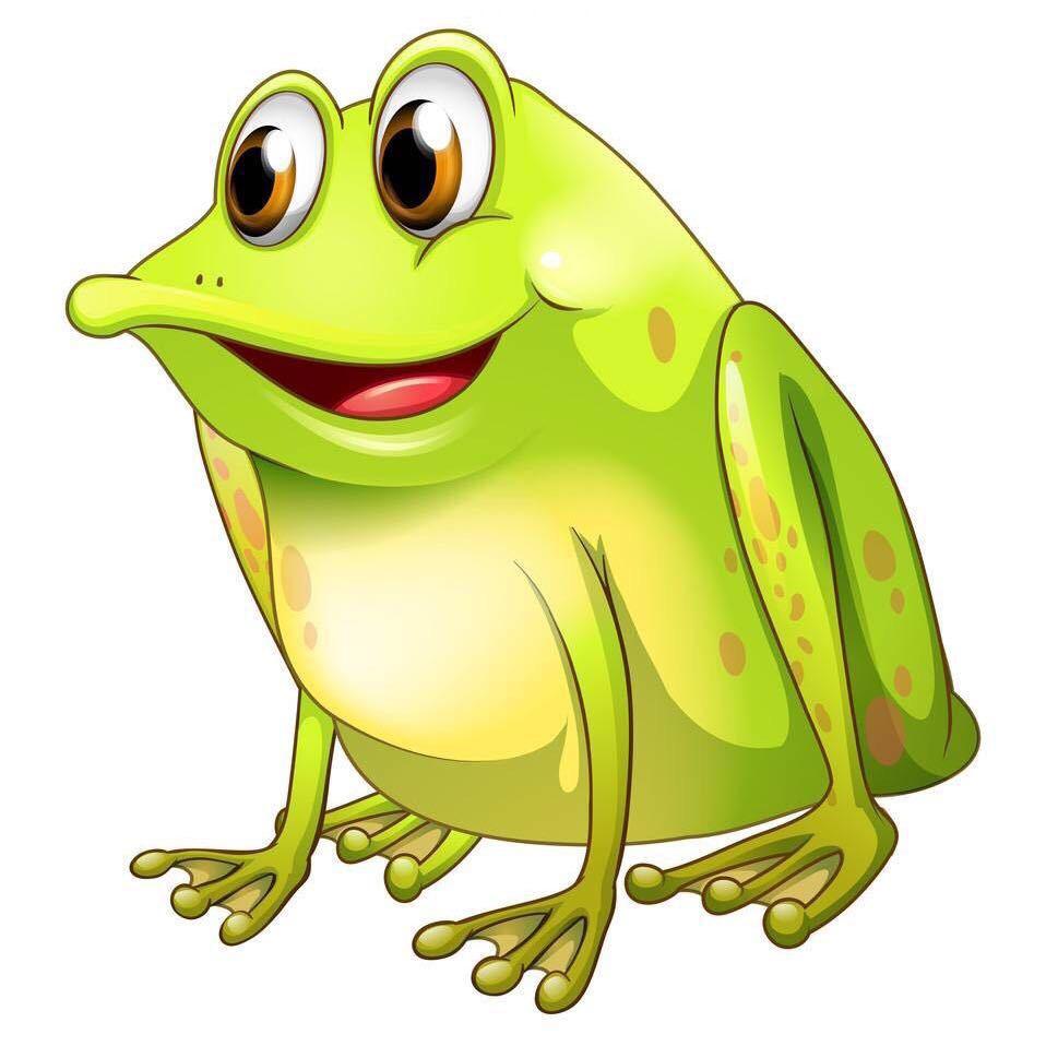 AAA牛蛙苗_牙签苗