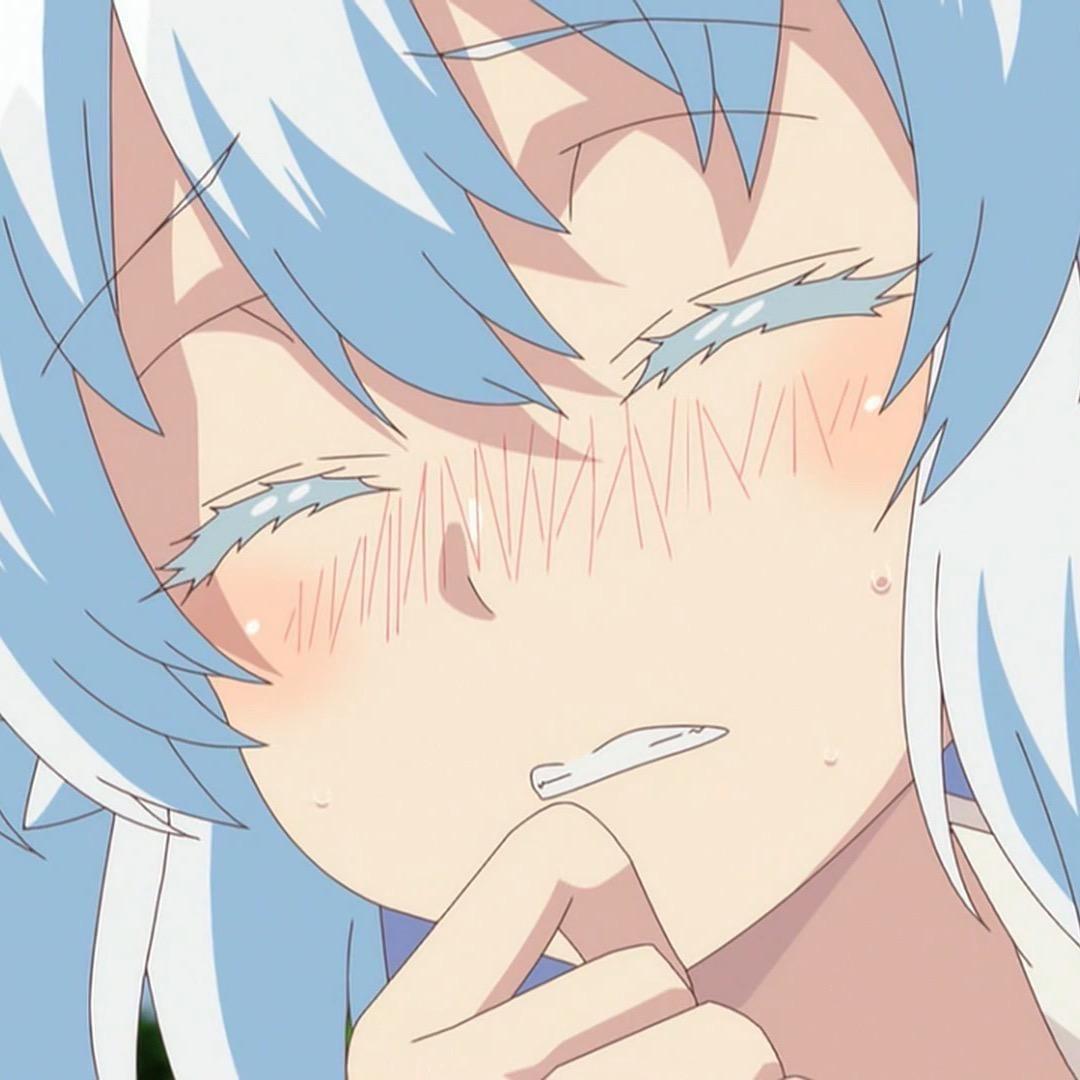 壳壳菌（分身版）