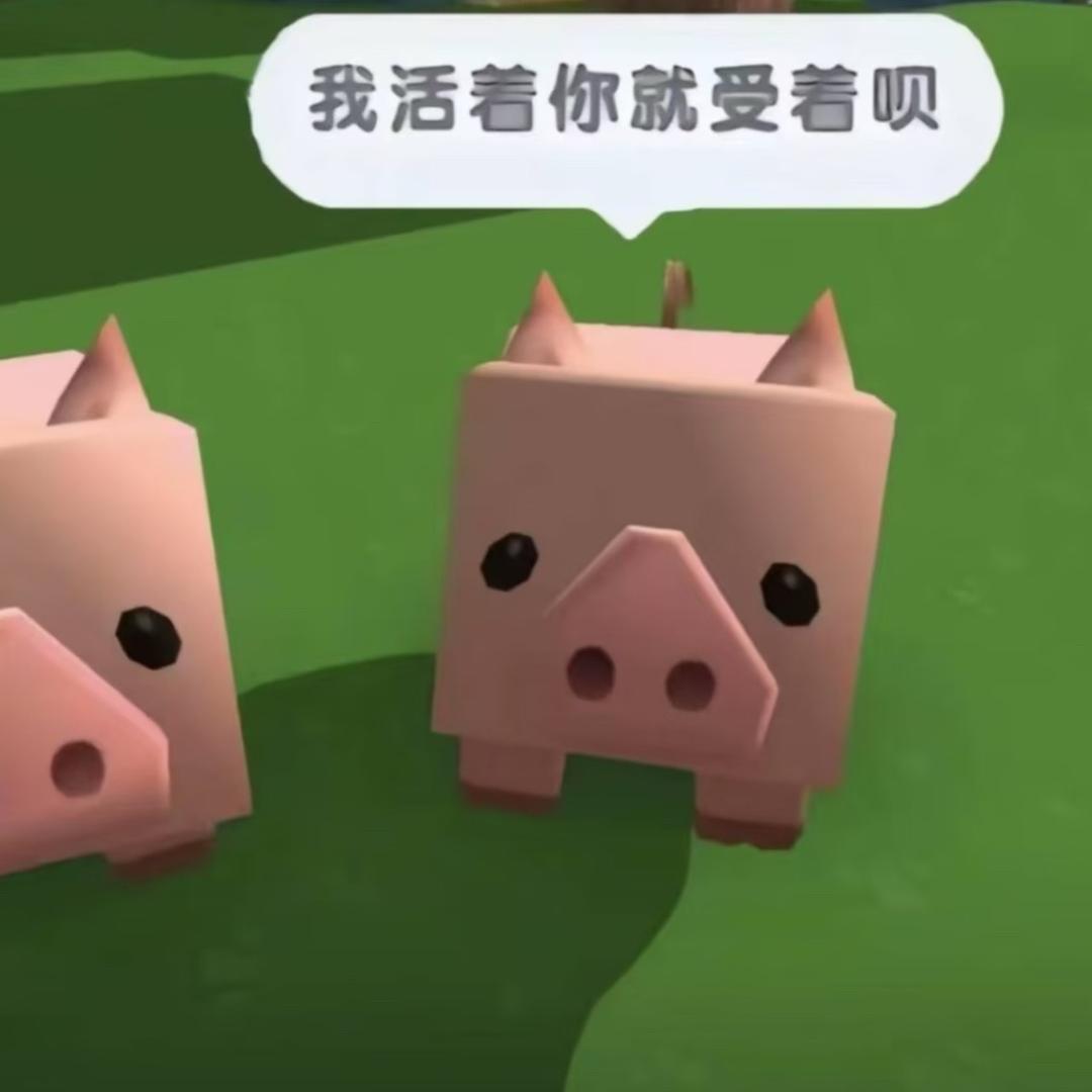 小婷大王