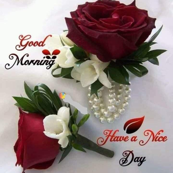 🎶人生没有回头路