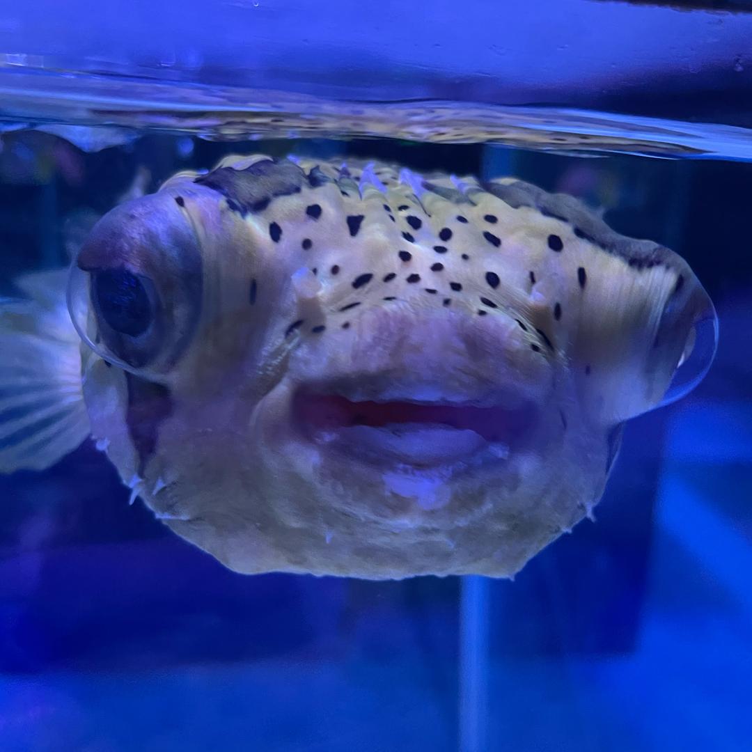 比较炸裂的名字