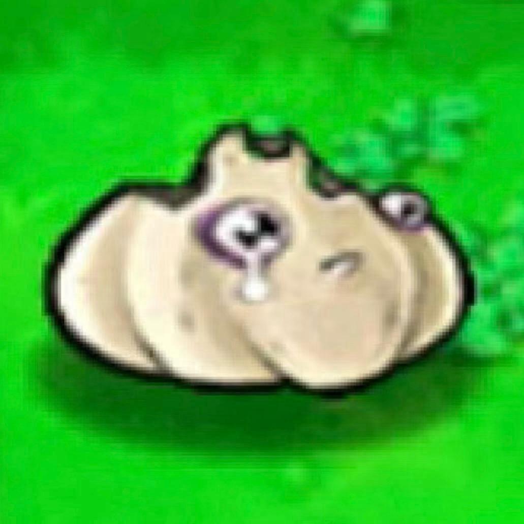 鲁鲁咪