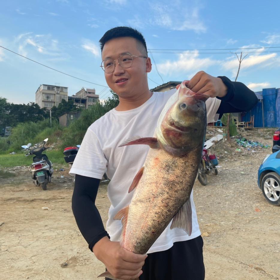 柳州陈指导