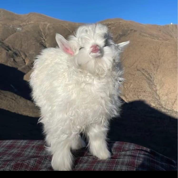 恩典
