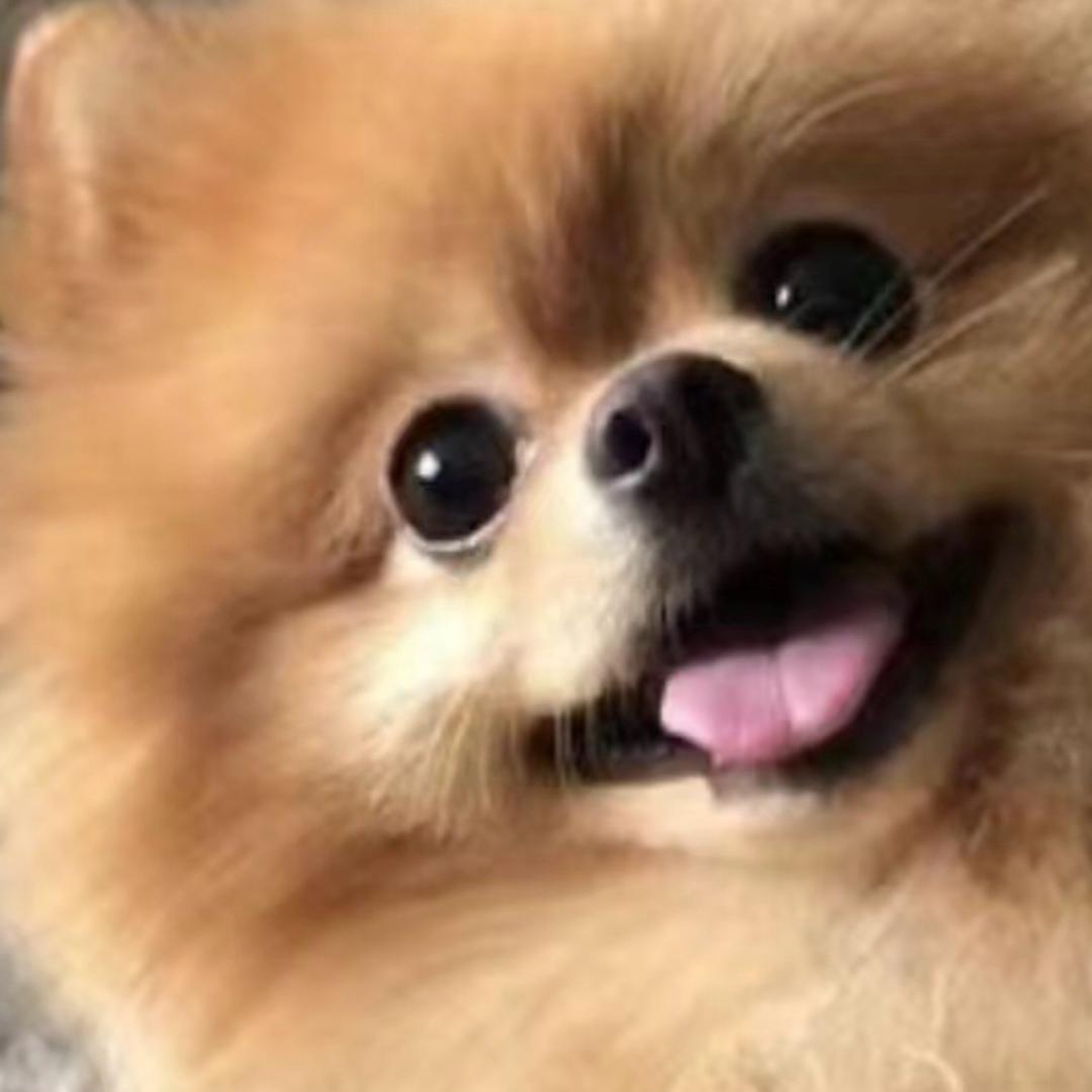 快乐崇拜