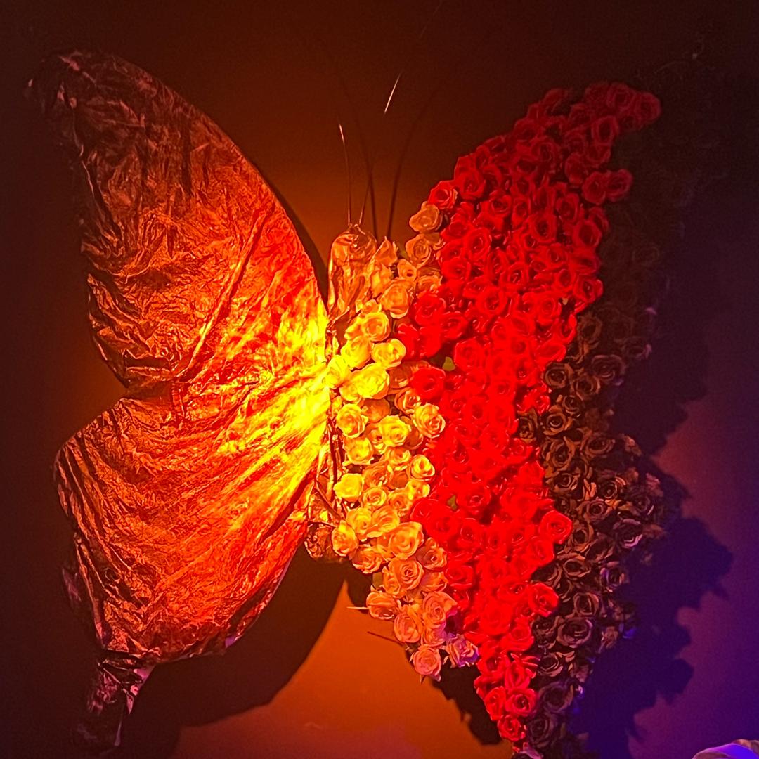 资阳dna营销经理vv