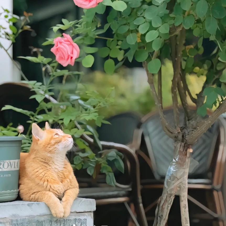 娟姐💕