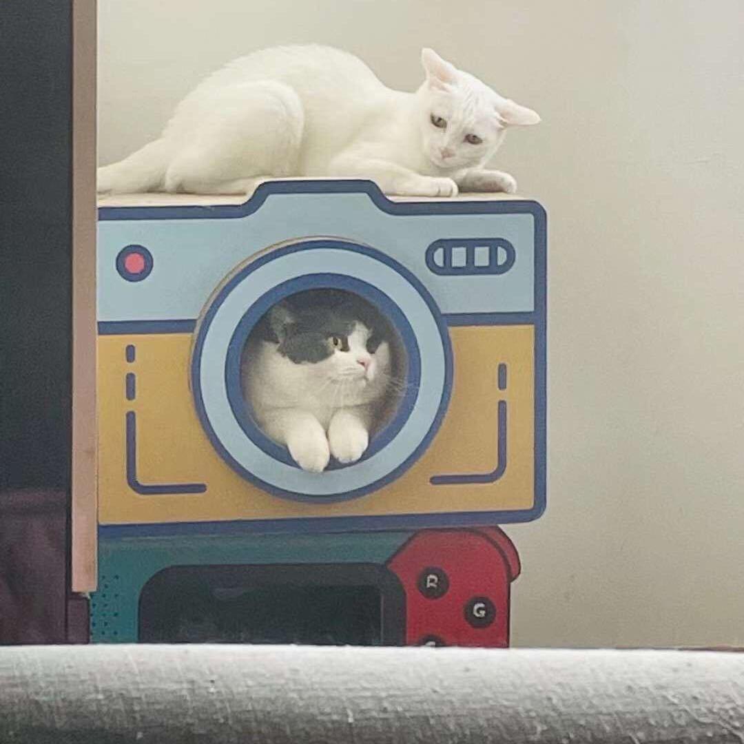 金牛宅