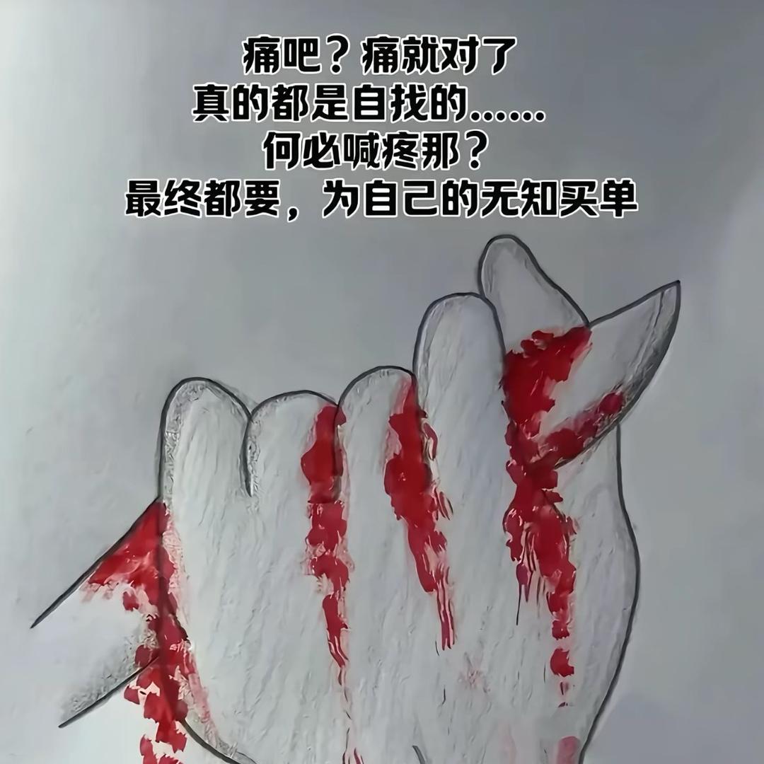 沚🎊