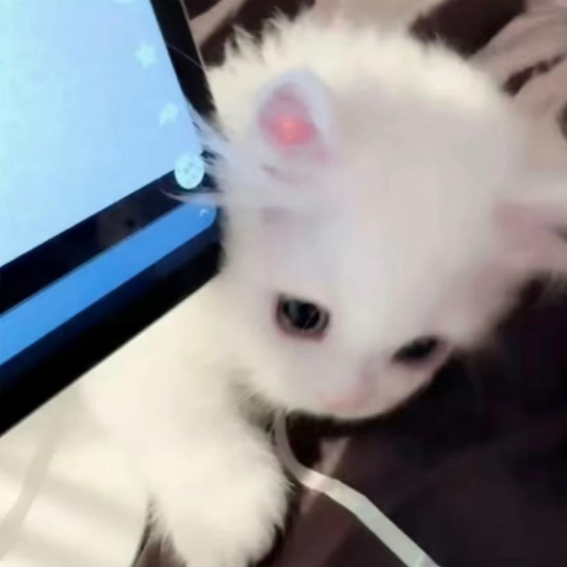 伤痕累累