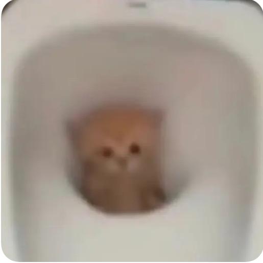 小京每天拉不完的粑