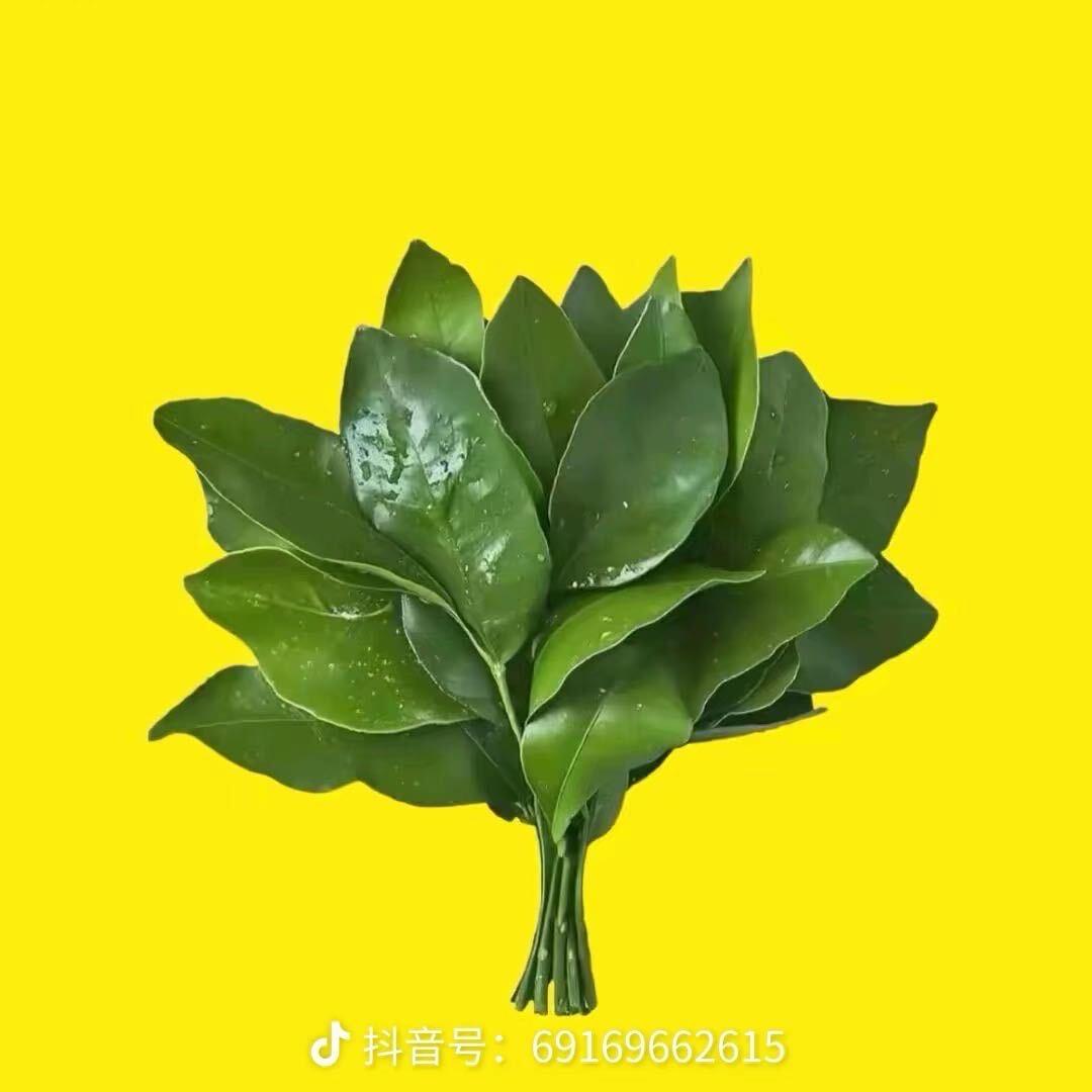 听闻