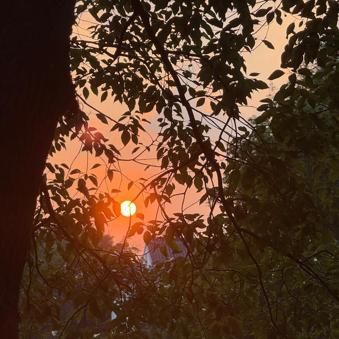 过夜🍋水（全国当牛马版）