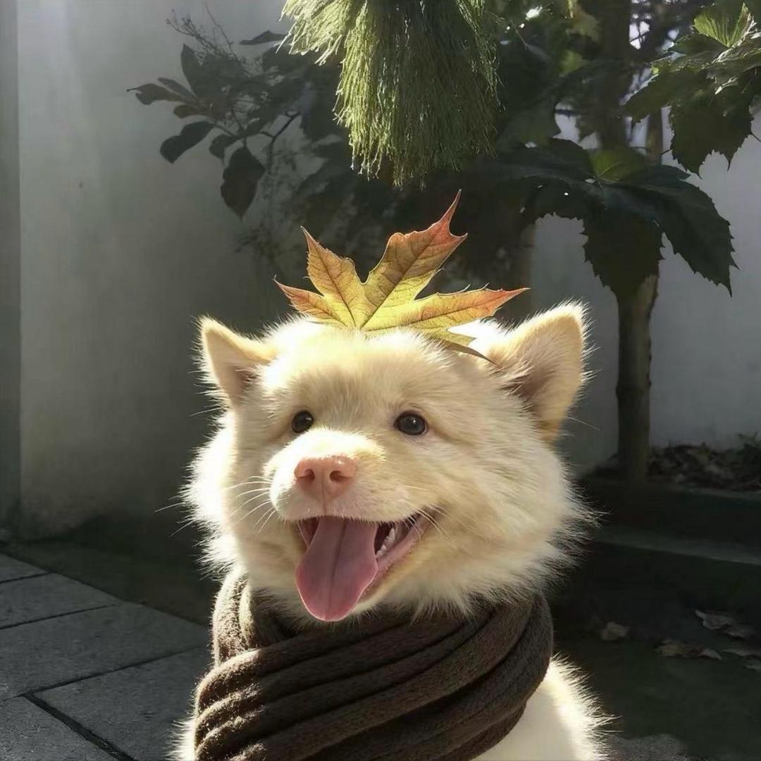 林黛玉醉打蒋门神