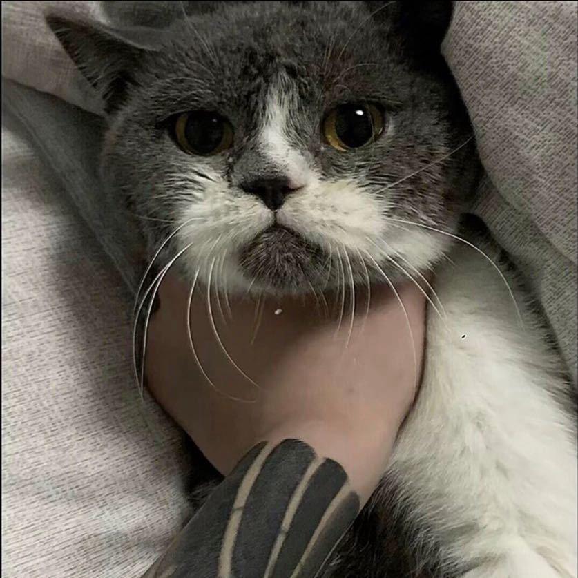 @@@