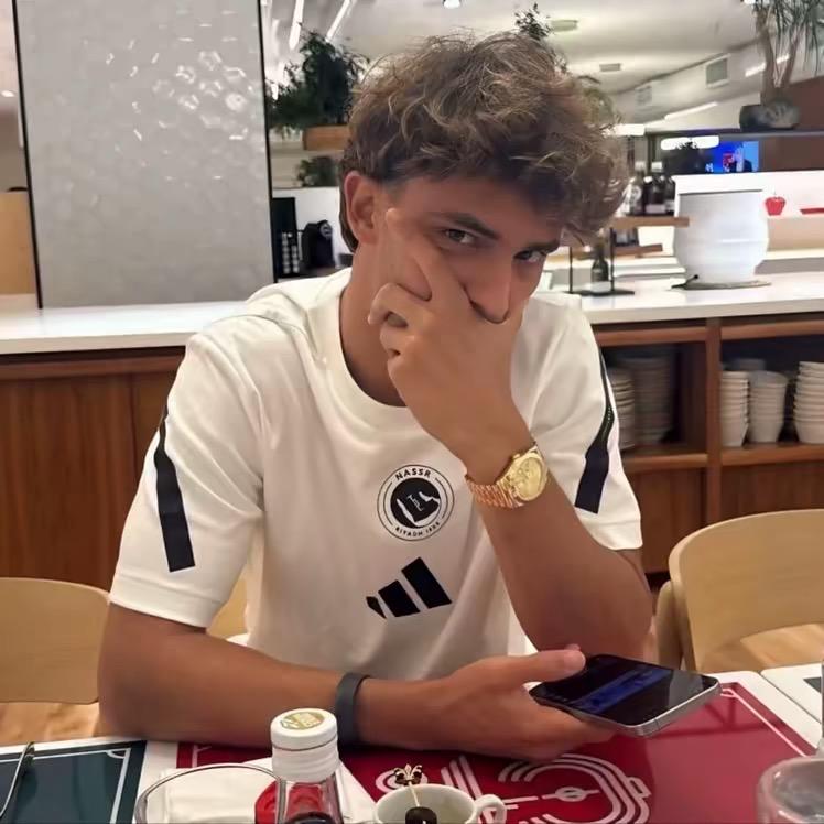 🫥🦁