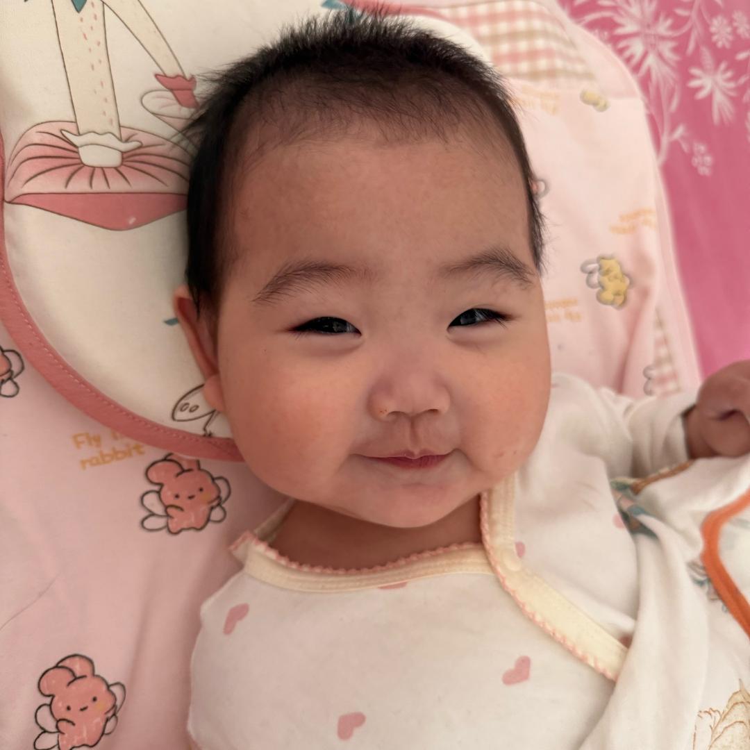 让我们乔乔瞧瞧