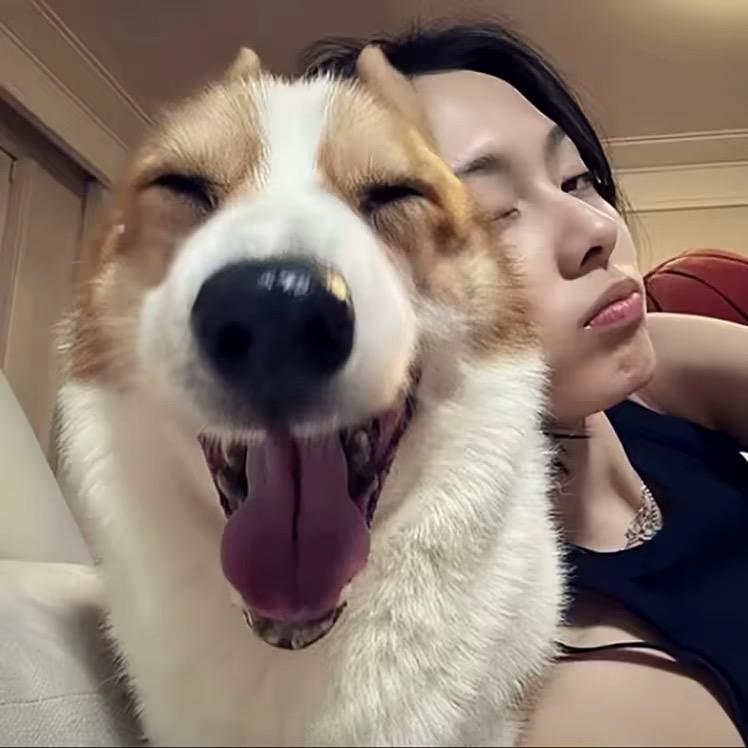 寄雨眠春.