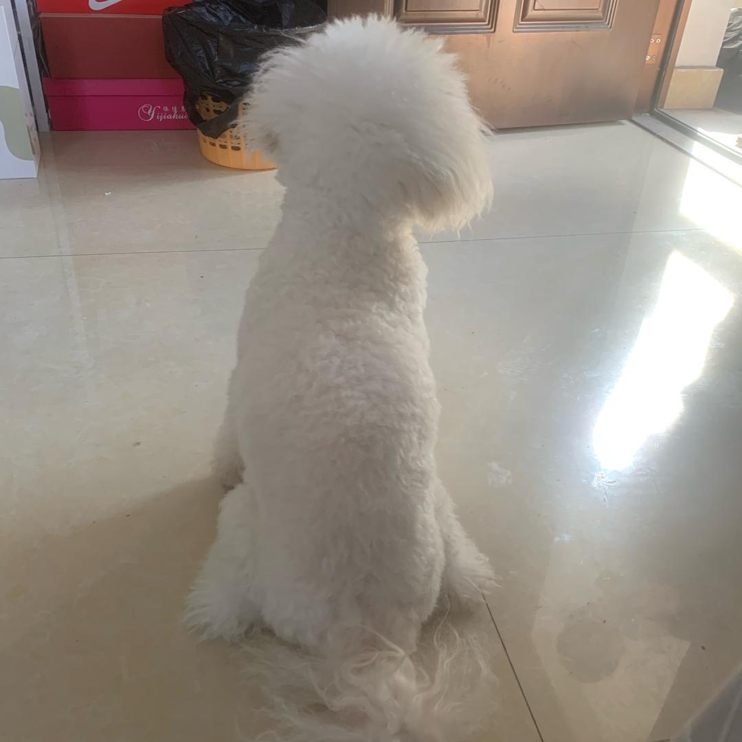 我是个小胖子呀。