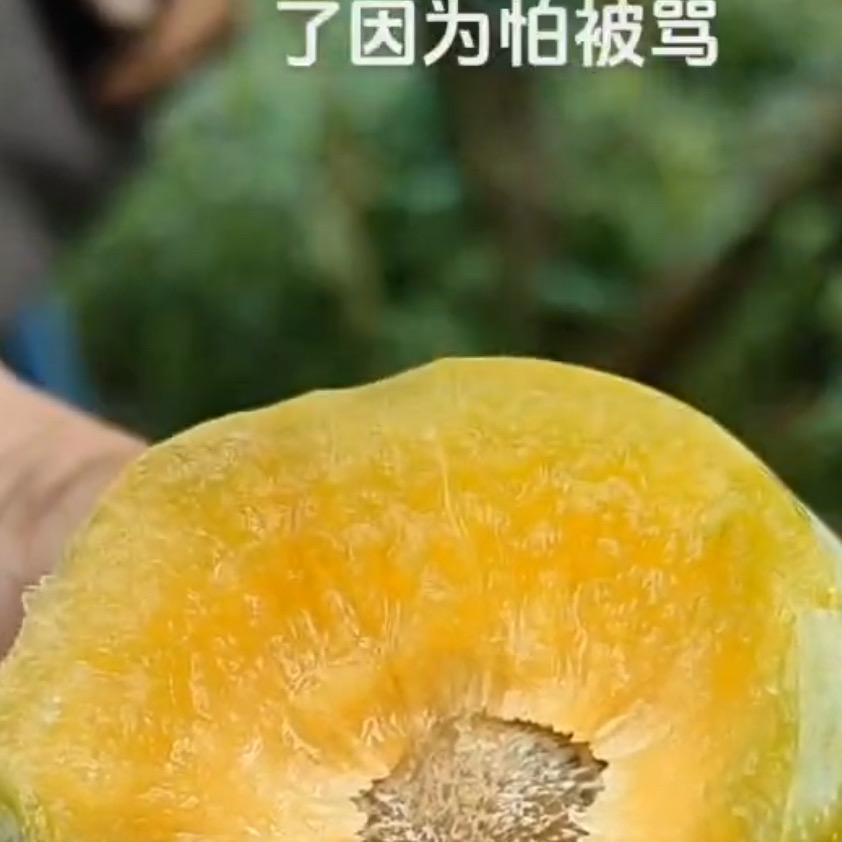 余庆县构皮滩镇陈洪江生态瓜果种植场