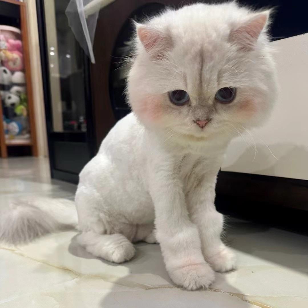 JiiiN