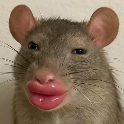 素谷女包工厂店