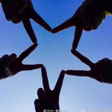 爱吃猫的鱼、