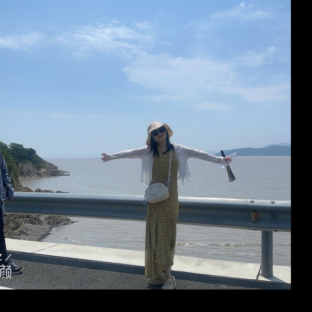 海鸥