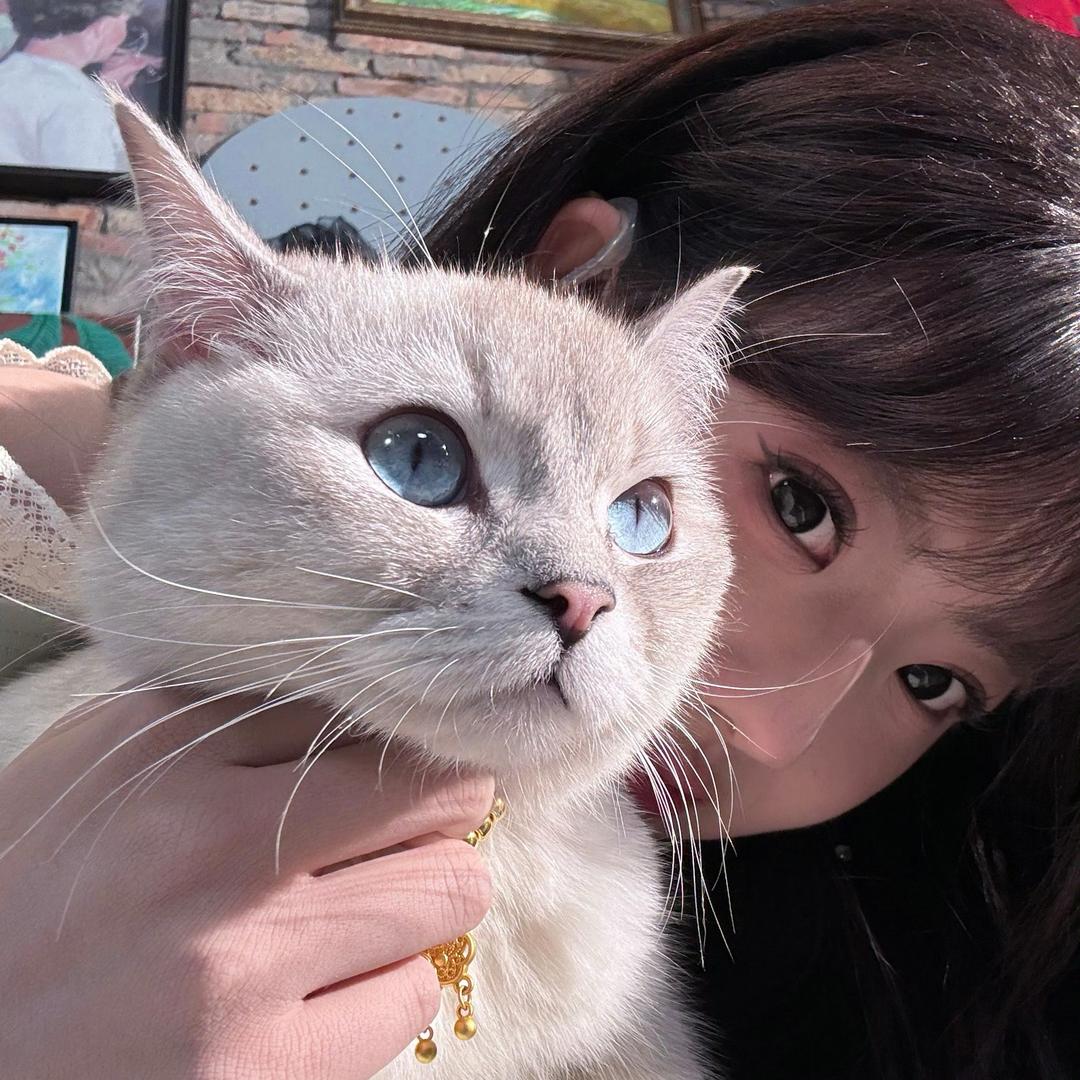 一拳捏爆刹车线