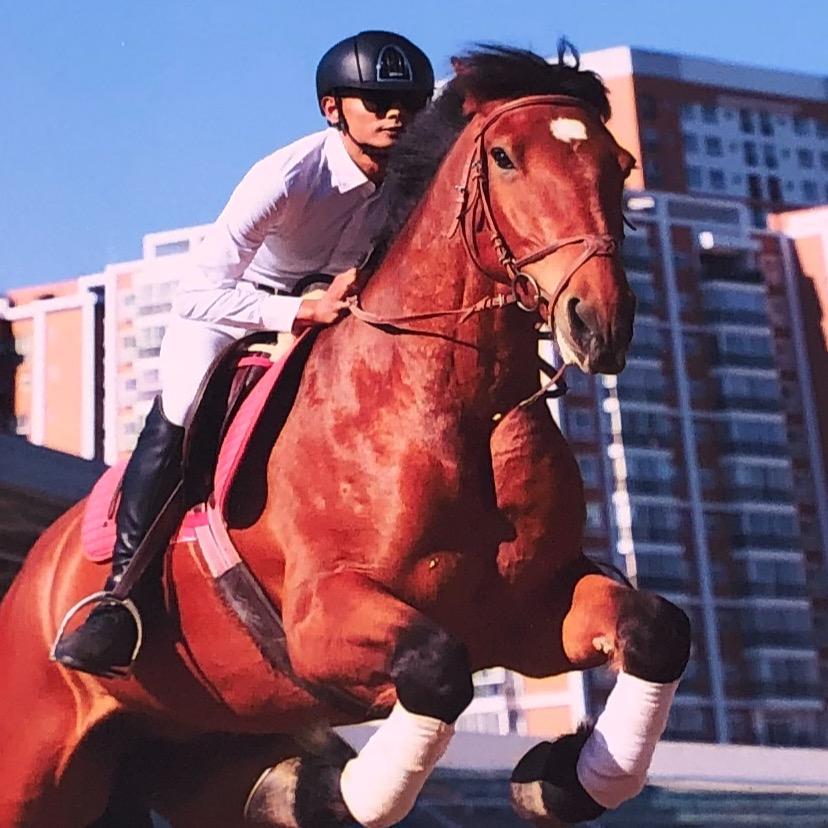 丛林骑士官方号