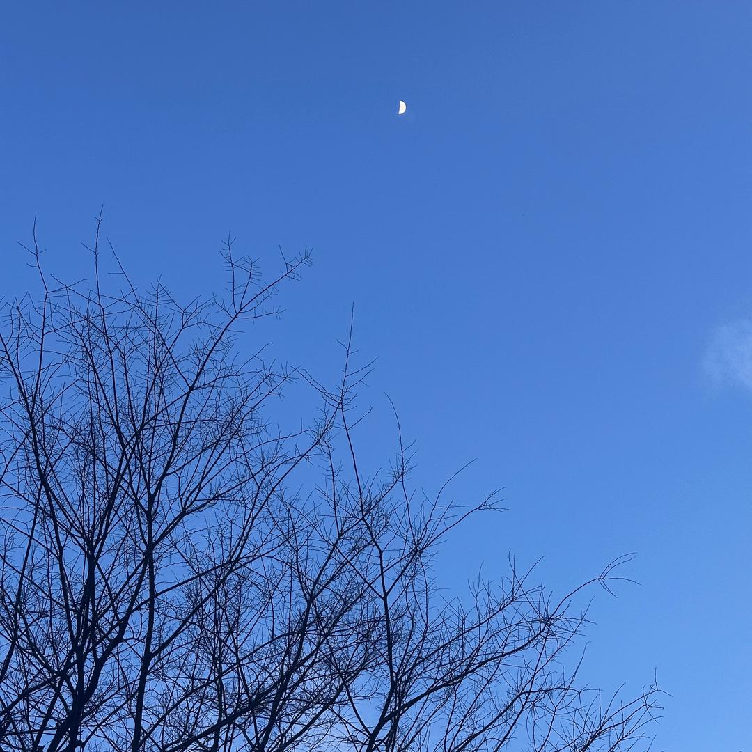 向日葵短路了