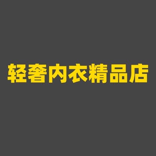 轻奢内衣精品店