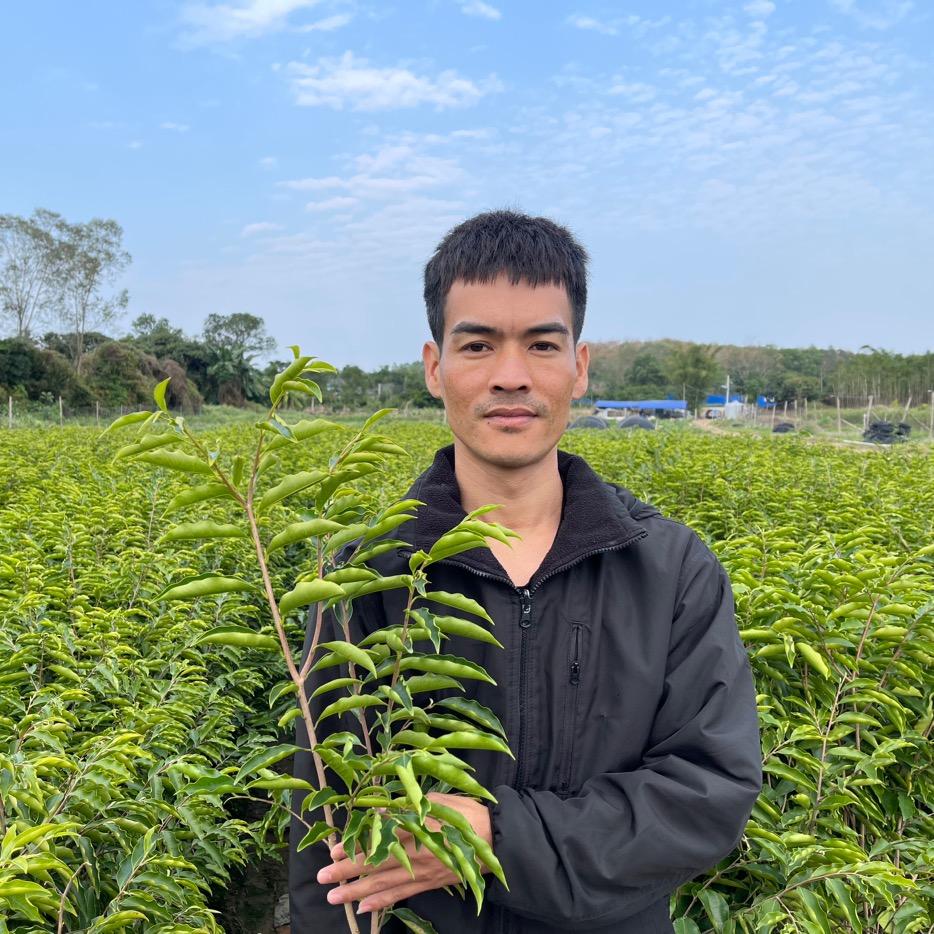 奇楠农人阿生