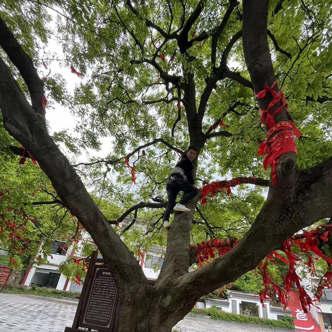 无忌