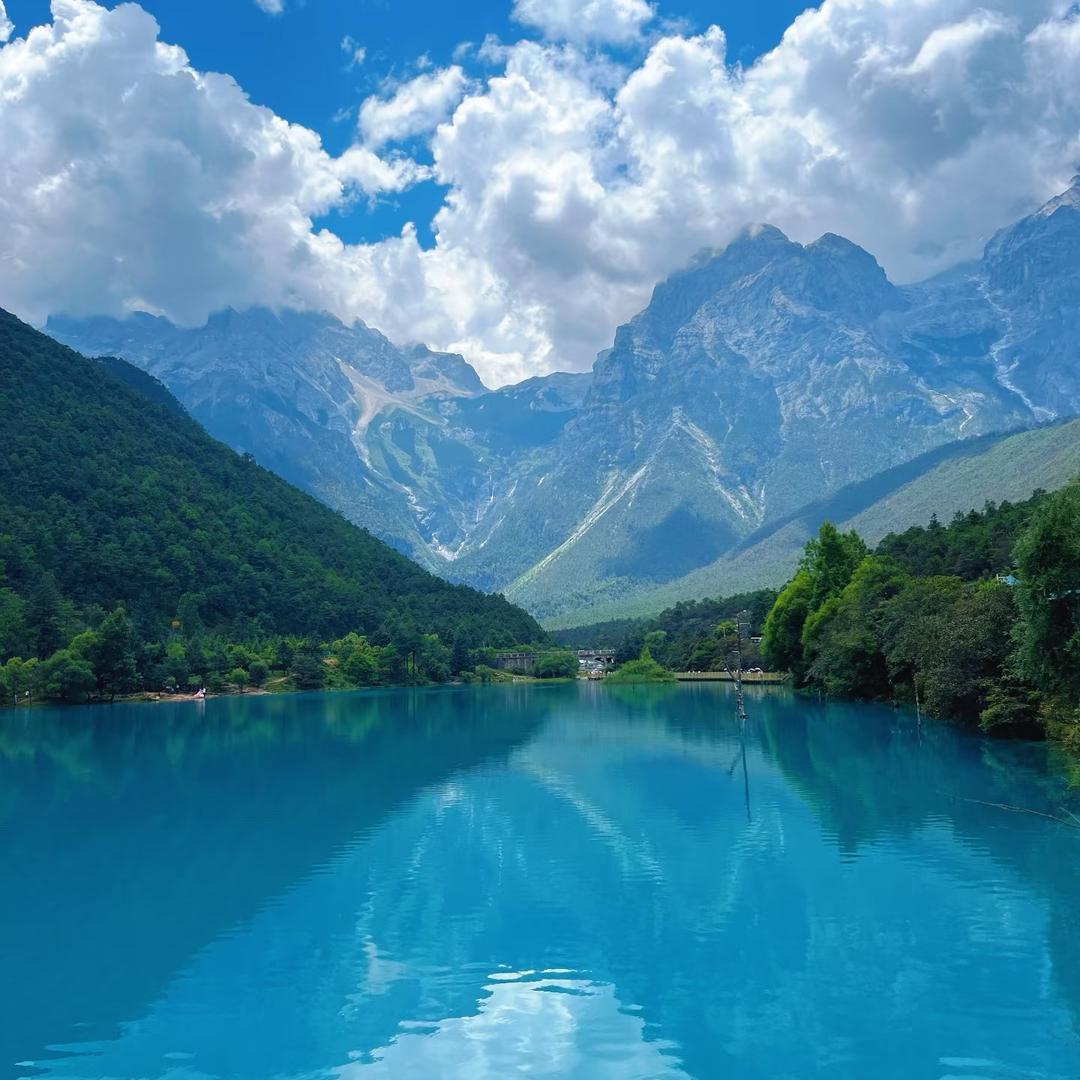 真善美食品甄选