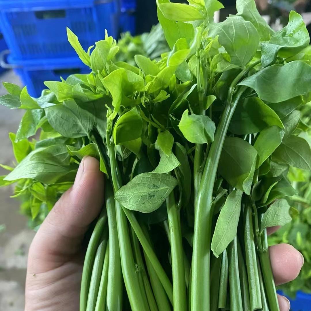 ☺️☺️☺️☺️