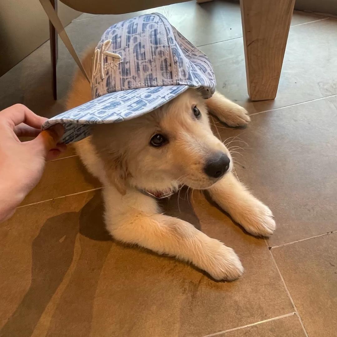 别破我防
