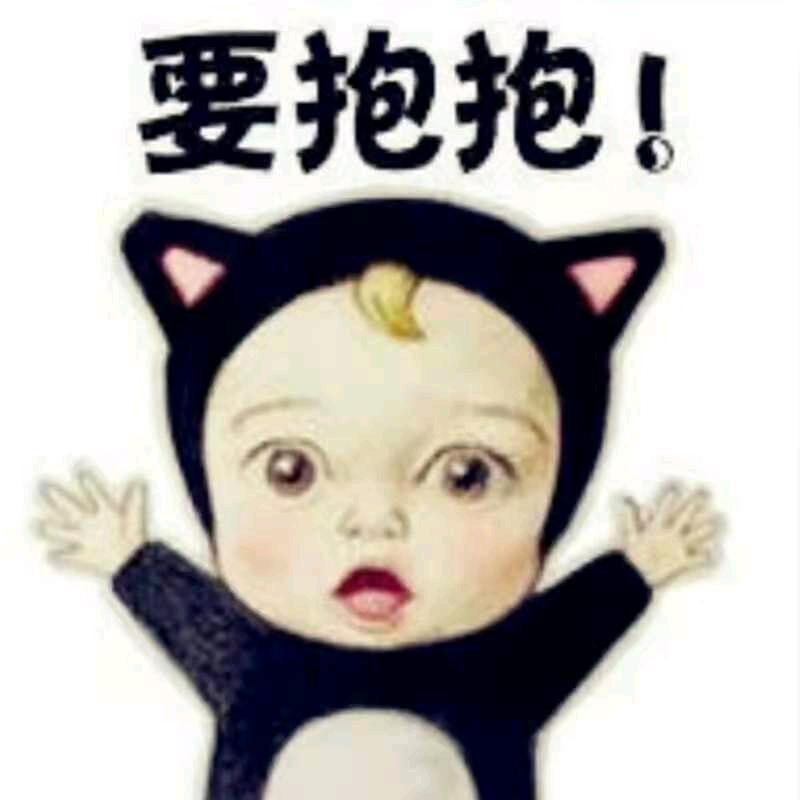 笨笨鸟5